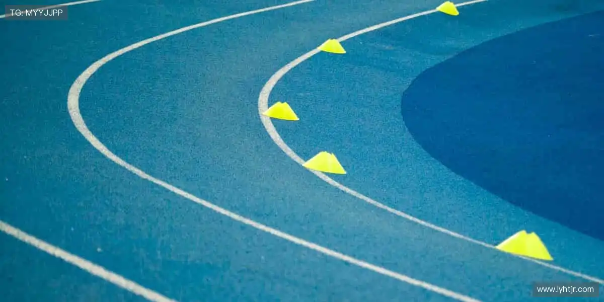 携手开发者，让创意在协作中无限生长！